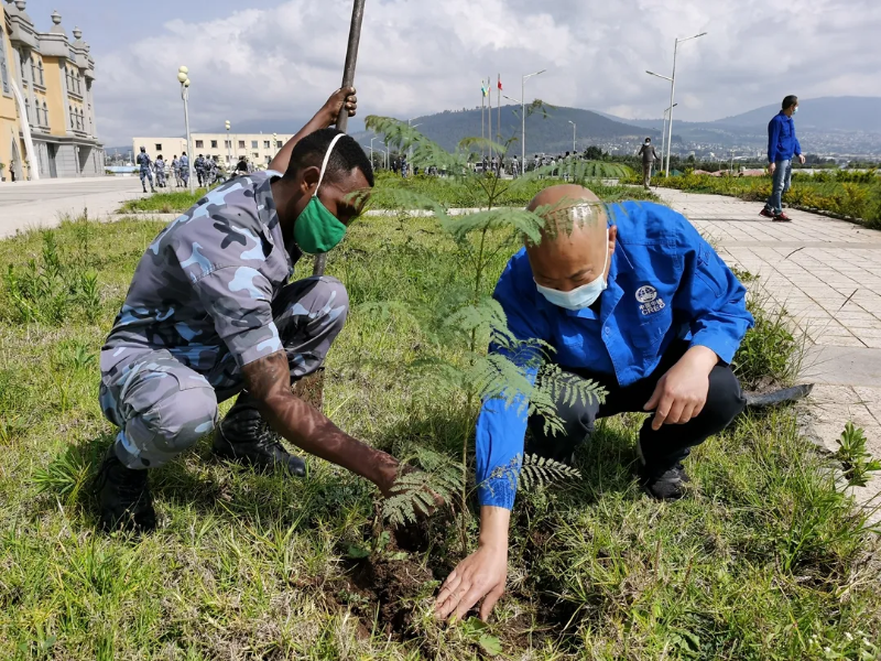 Chinese and Ethiopian employees work together to plant trees.